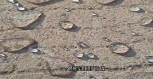 新型微粒子防水中羥丙基甲基纖維素的重要作用